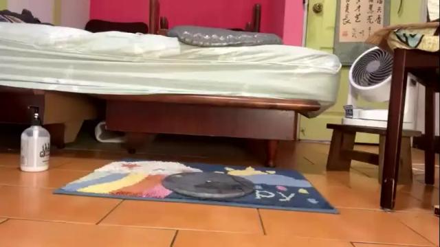 Image 6 of ninfo_puta Stream on Chaturbate on 2 months ago