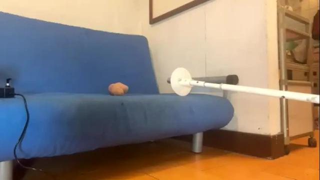 Image 7 of ninfo_puta Stream on Chaturbate on 1 month ago