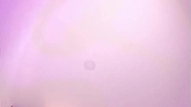 Image 4 of noah_beck42 Stream on Chaturbate on 2 months ago