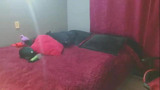 Image 7 of noamartin_ Stream on Chaturbate on 8 days ago