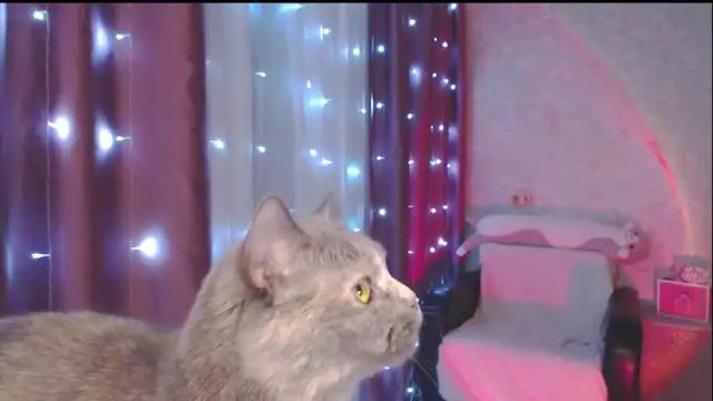 Image 6 of nonude_eva Stream on Chaturbate on 5 months ago