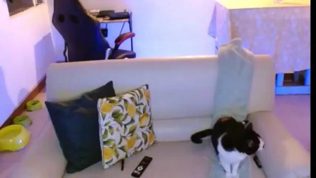 Image 10 of novaperotti Stream on Chaturbate on 2 months ago