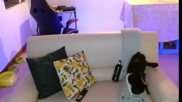 Image 11 of novaperotti Stream on Chaturbate on 2 months ago
