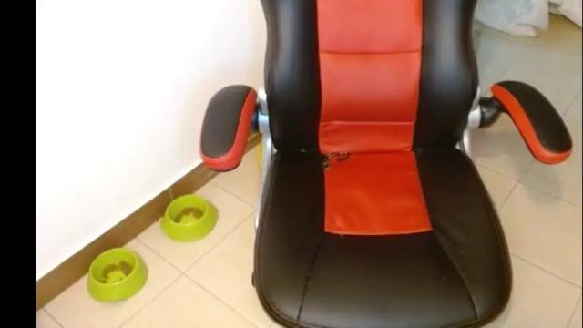 Image 8 of novaperotti Stream on Chaturbate on 1 month ago