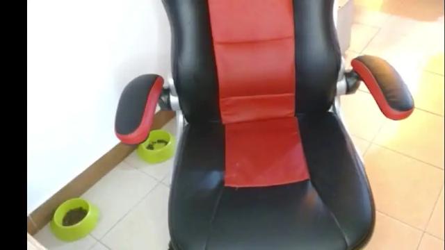 Image 12 of novaperotti Stream on Chaturbate on 1 month ago