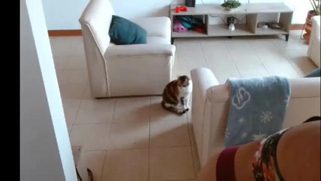 Image 7 of novaperotti Stream on Chaturbate on 4 months ago