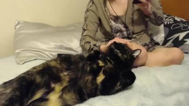 Image 3 of nyctophilic Stream on Chaturbate on 19 months ago