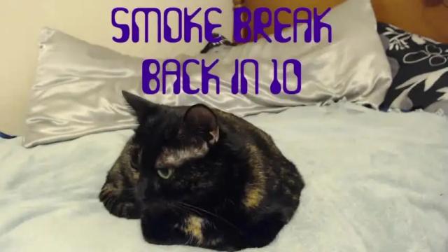 Image 7 of nyctophilic Stream on Chaturbate on 19 months ago