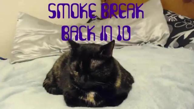 Image 8 of nyctophilic Stream on Chaturbate on 19 months ago