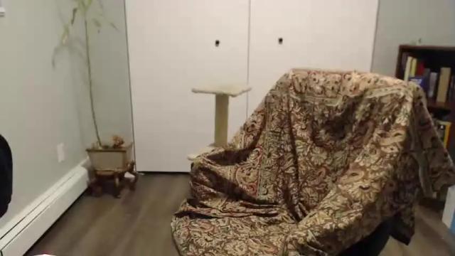Thumbnail 1, nyctophilic's Stream at Chaturbate, 14 months ago