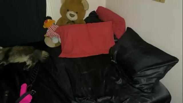 Thumbnail 1, nymphaeaorion's Stream at Chaturbate, 19 days ago