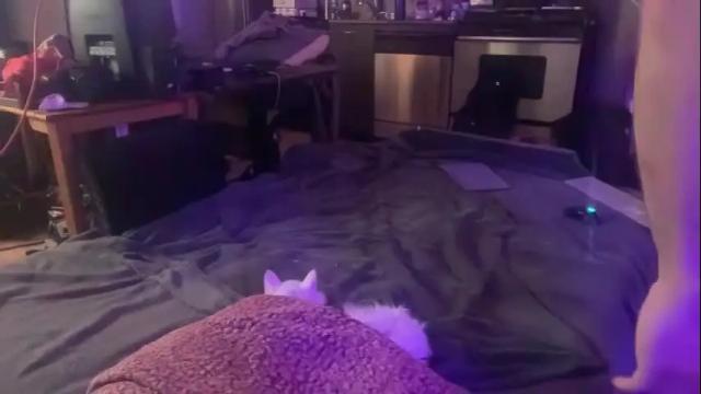 Thumbnail 1, nyxfriday's Stream at Chaturbate, 1 day ago