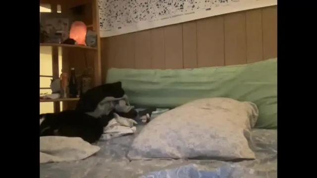 Image 10 of nyyanks232 Stream on Chaturbate on 2 months ago