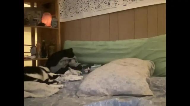 Thumbnail 2, nyyanks232's Stream at Chaturbate, 2 months ago