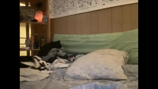Image 7 of nyyanks232 Stream on Chaturbate on 2 months ago