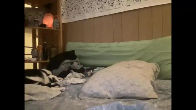 Image 8 of nyyanks232 Stream on Chaturbate on 2 months ago