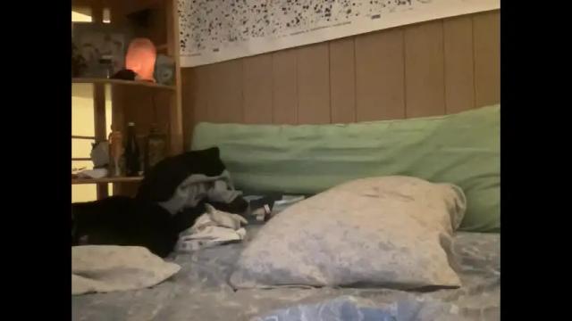 Thumbnail 3, nyyanks232's Stream at Chaturbate, 2 months ago