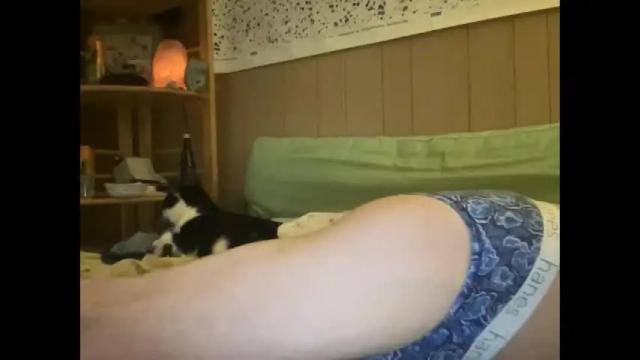 Image 10 of nyyanks232 Stream on Chaturbate on 23 days ago