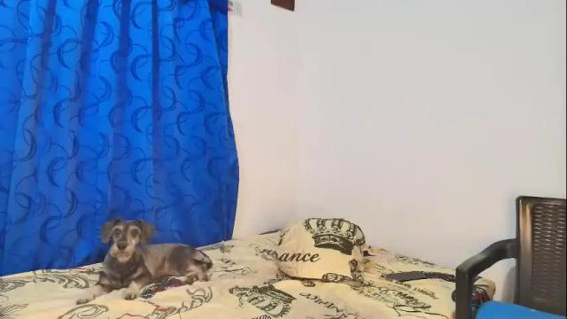 Image 7 of oh_tique Stream on Chaturbate on 1 month ago