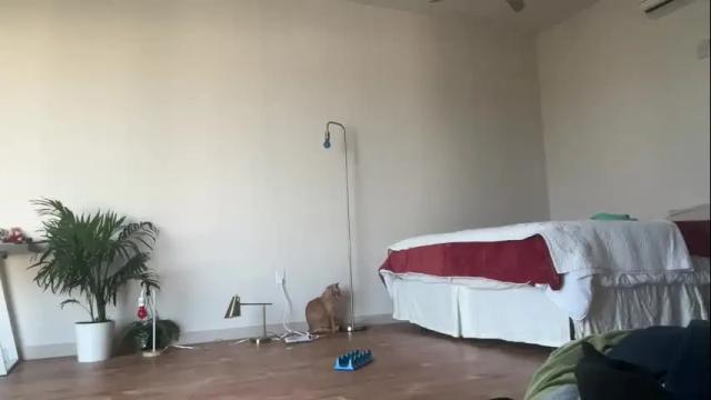 Image 4 of olive_nextdoor Stream on Chaturbate on 27 days ago