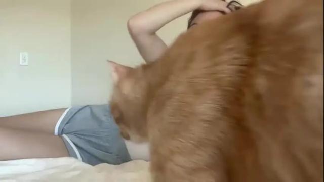 Image 4 of olive_nextdoor Stream on Chaturbate on 15 days ago