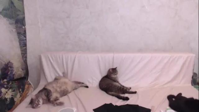 Image 11 of olivia_redd Stream on Chaturbate on 1 month ago