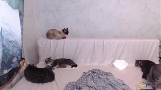Image 10 of olivia_redd Stream on Chaturbate on 14 days ago
