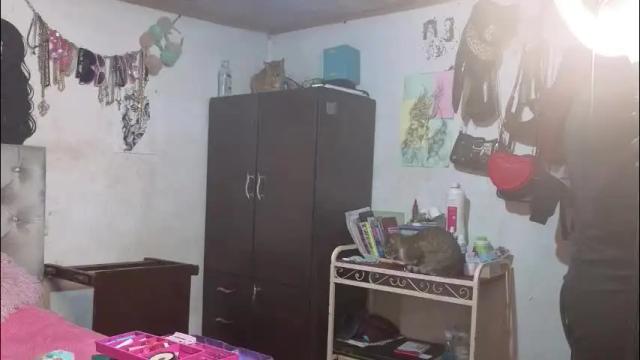 Image 3 of oliviabluee10 Stream on Chaturbate on 3 months ago