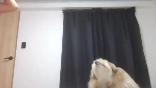 Image 10 of oliviabrown02 Stream on Chaturbate on 18 months ago