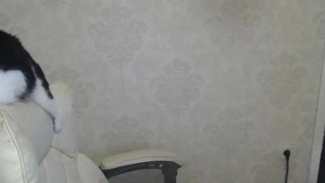Image 11 of oliviasager Stream on Chaturbate on 17 months ago