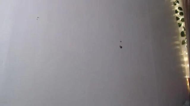 Image 4 of omariaennaid Stream on Chaturbate on 10 days ago