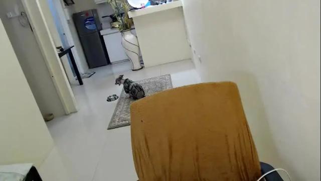 Thumbnail 3, one_of_a_kind_pearl's Stream at Chaturbate, 3 days ago