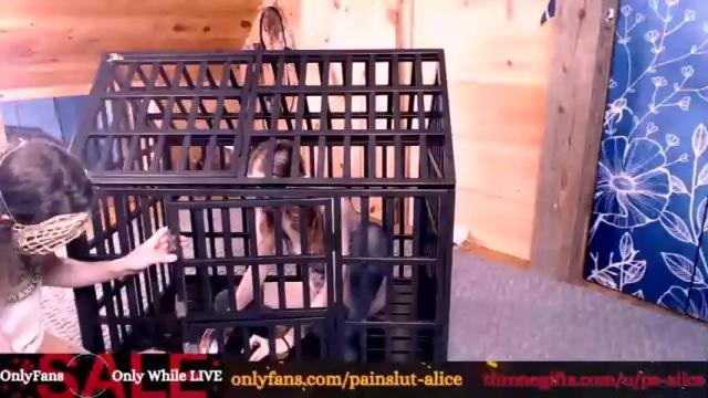 Image 11 of painslut_alice Stream on Chaturbate on 19 months ago