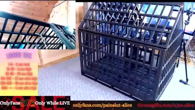 Image 4 of painslut_alice Stream on Chaturbate on 17 months ago