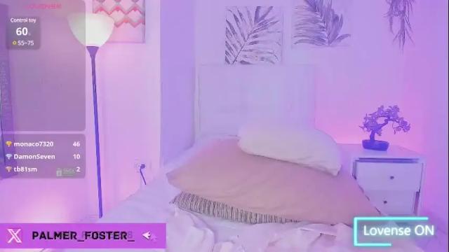 Thumbnail 1, palmer_foster's Stream at Chaturbate, 28 days ago