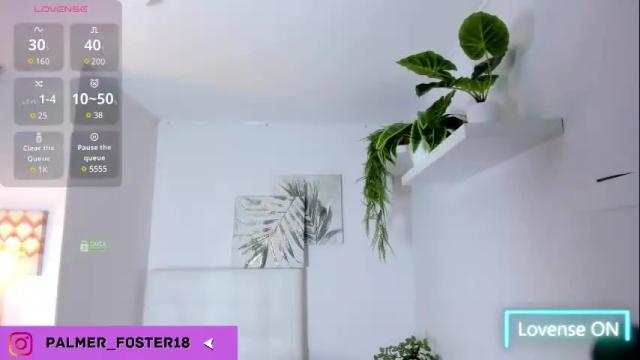 Image 2 of palmer_foster Stream on Chaturbate on 20 days ago
