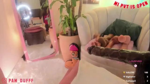 Image 10 of pam_duff Stream on Chaturbate on 3 months ago