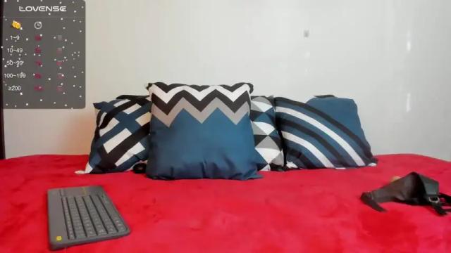 Image 6 of pameelaanderson Stream on Chaturbate on 14 months ago