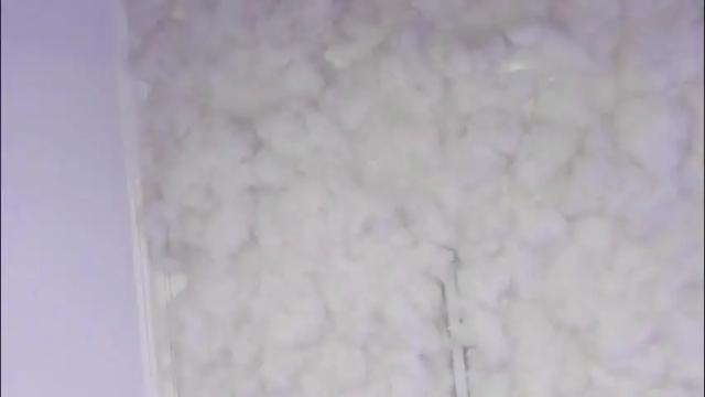 Image 12 of pamela_dimantis_ Stream on Chaturbate on 2 months ago