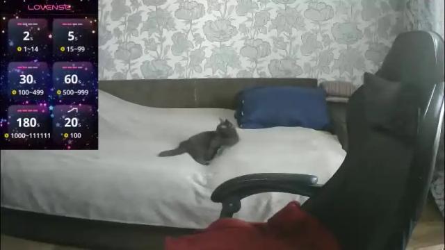 Image 7 of pamela_passion Stream on Chaturbate on 5 days ago