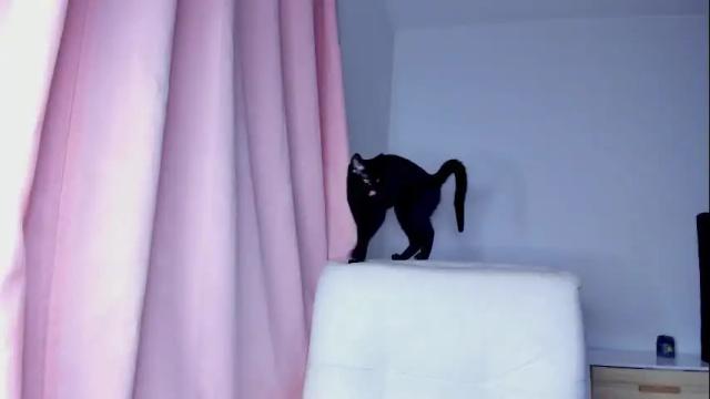 Image 11 of pamela_trouble Stream on Chaturbate on 2 months ago