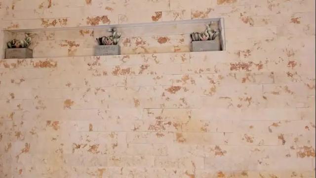 Image 12 of pamela_west Stream on Chaturbate on 29 days ago