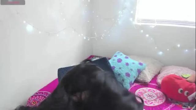 Thumbnail 2, pameladou201's Stream at Chaturbate, 15 days ago