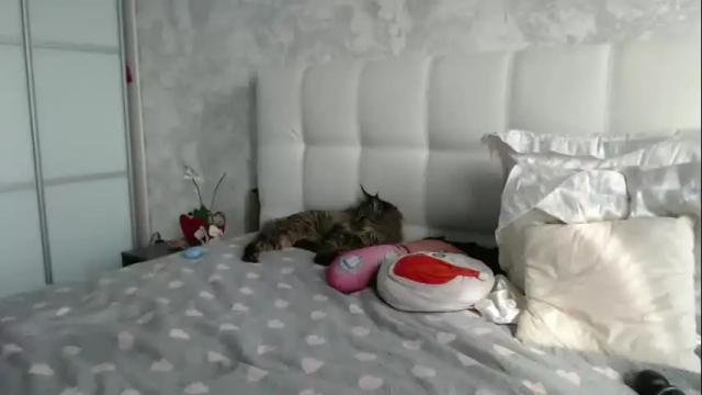 Image 12 of pamella_007 Stream on Chaturbate on 1 month ago