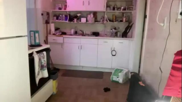 Thumbnail 1, pantiesofthefae's Stream at Chaturbate, 4 months ago