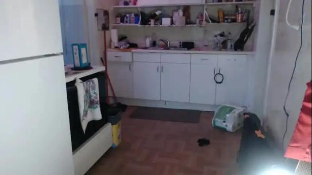 Image 2 of pantiesofthefae Stream on Chaturbate on 4 months ago