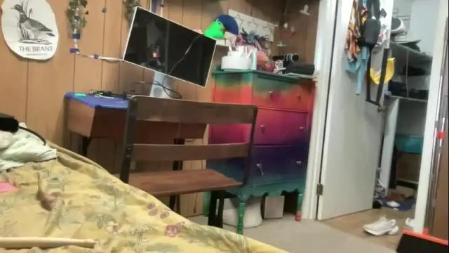 Image 10 of pantiesofthefae Stream on Chaturbate on 22 days ago