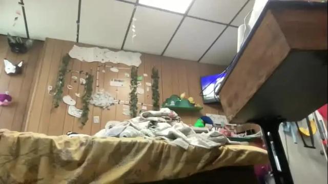 Image 2 of pantiesofthefae Stream on Chaturbate on 22 days ago