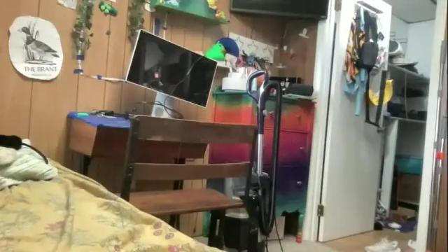 Image 7 of pantiesofthefae Stream on Chaturbate on 22 days ago