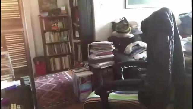 Thumbnail 3, pantyvloletlace's Stream at Chaturbate, 1 month ago